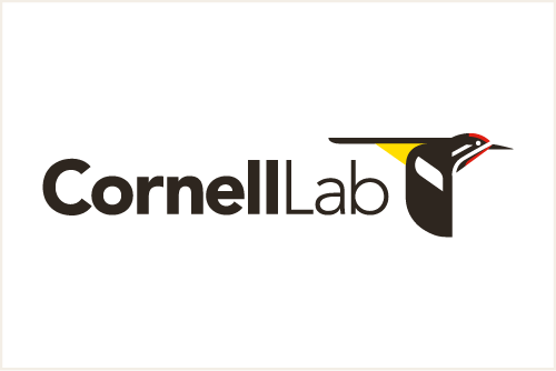 Logo CornellLab